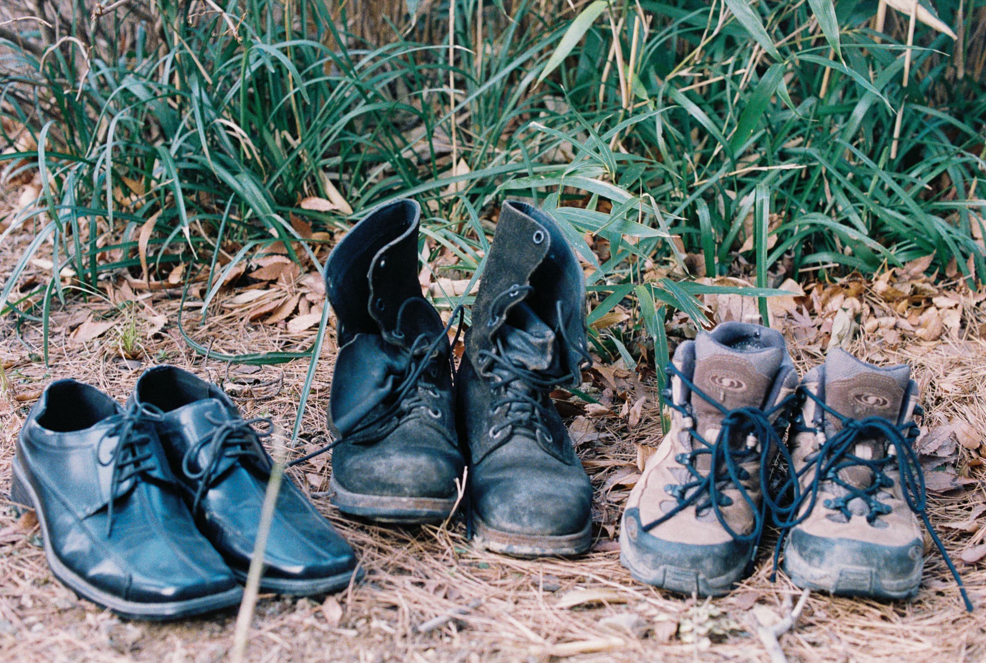 shoes