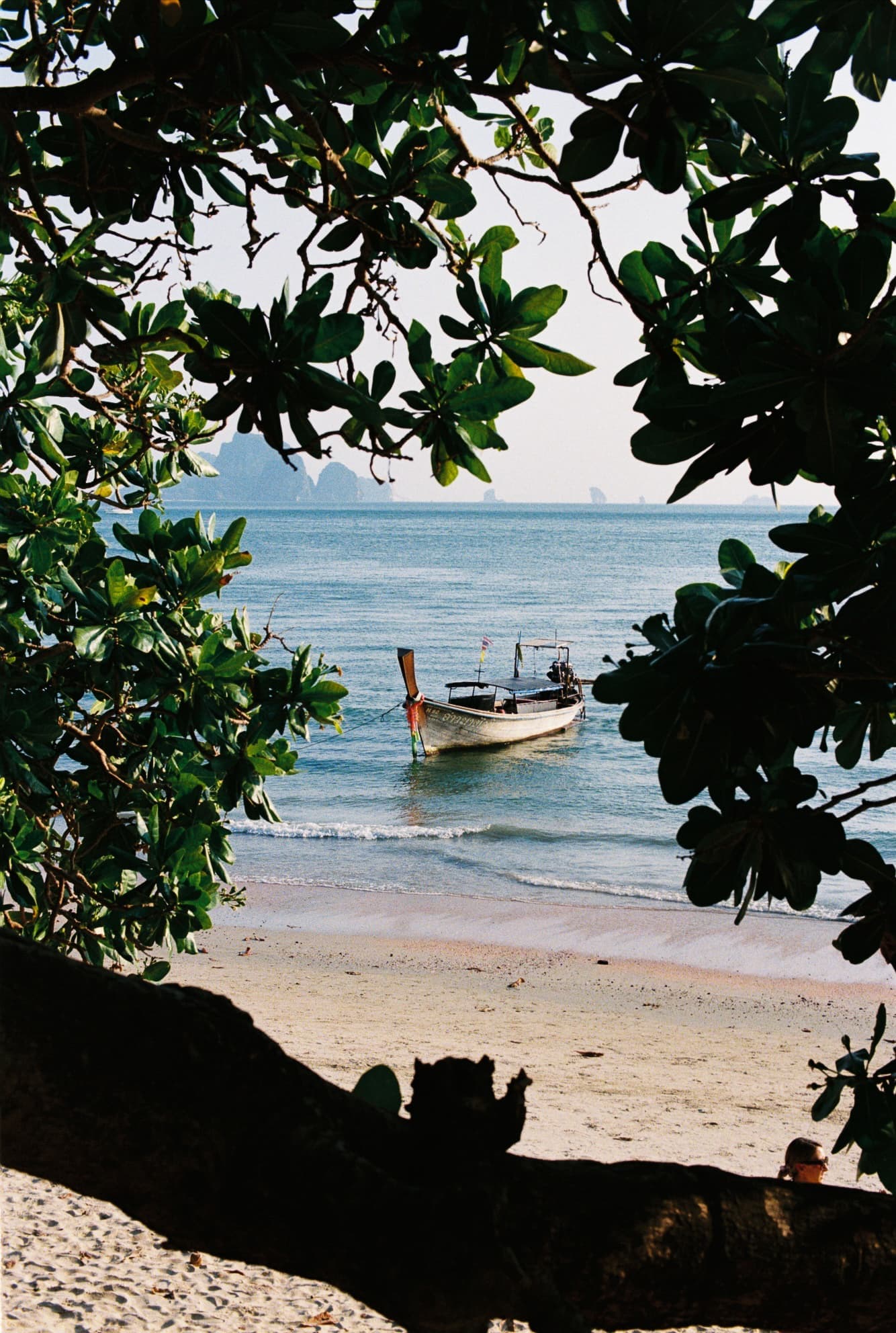 Krabi boat.