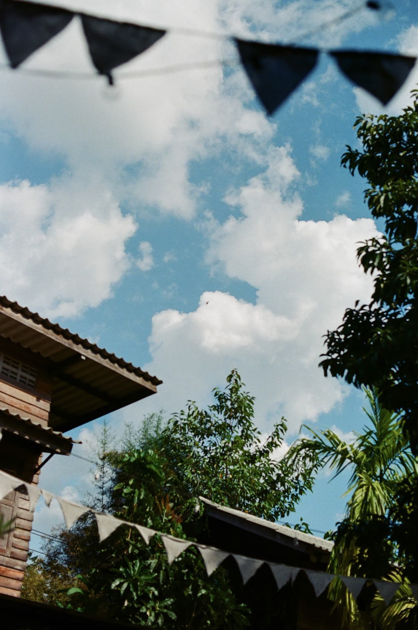 Chiangmai. Book cafe, sky.